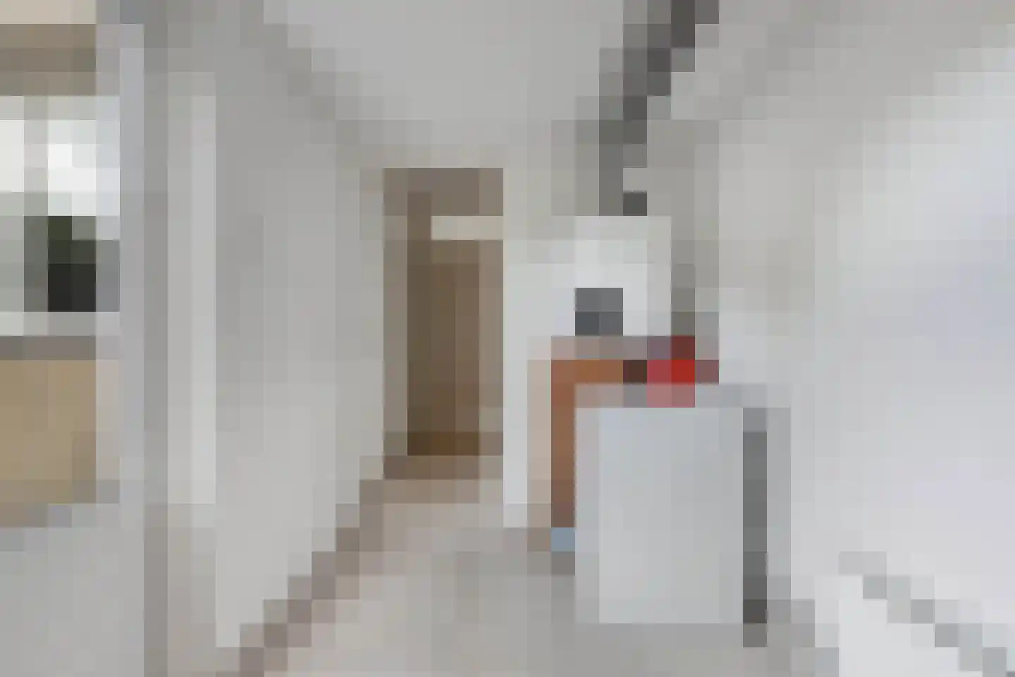 Suster v.d. Vegtstrjitte 28 Akkrum thumbnail 18