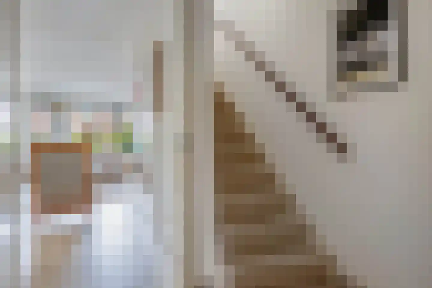 Suster v.d. Vegtstrjitte 28 Akkrum thumbnail 19