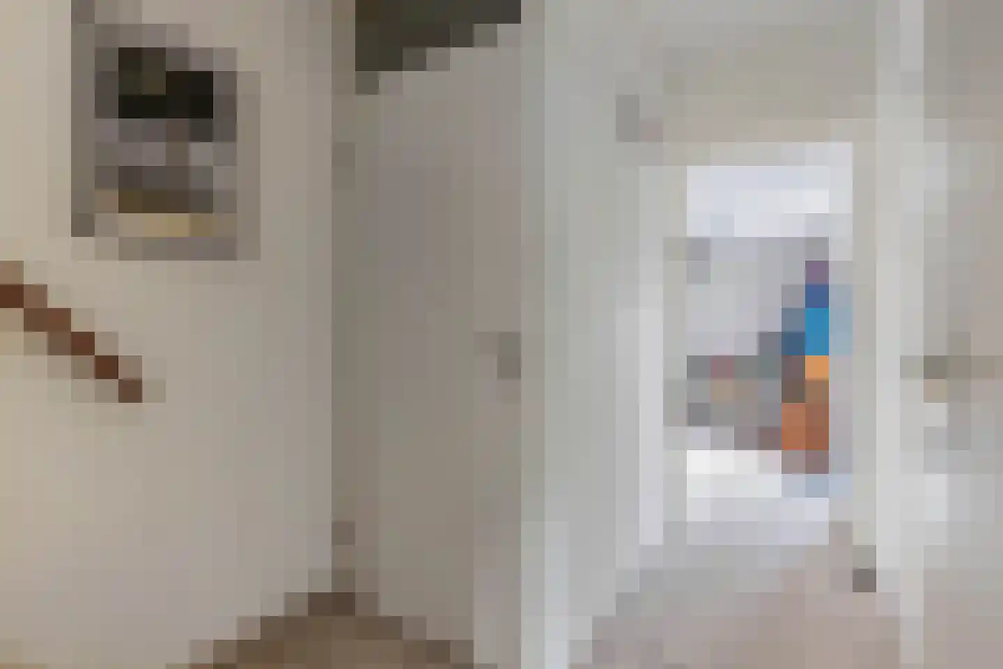 Suster v.d. Vegtstrjitte 28 Akkrum thumbnail 20