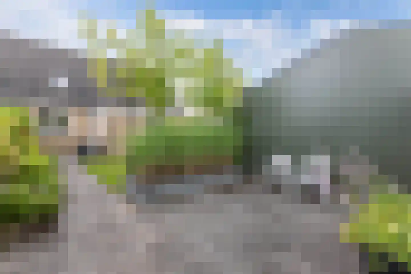 Suster v.d. Vegtstrjitte 28 Akkrum thumbnail 33