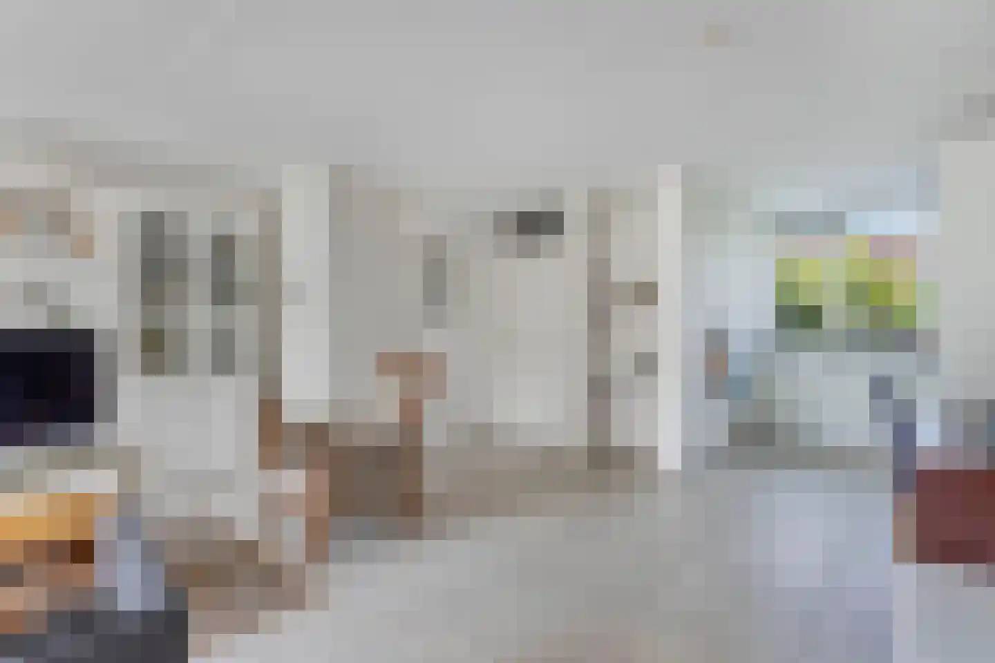Suster v.d. Vegtstrjitte 28 Akkrum thumbnail 8