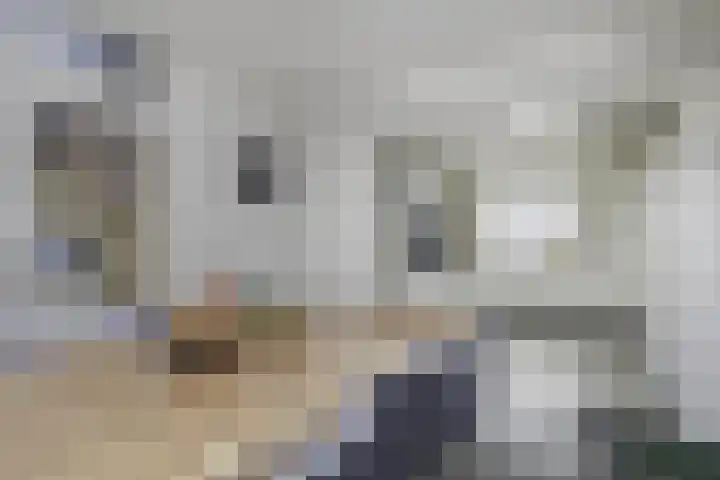Susterderpoort 7 Nieuwstadt thumbnail 14