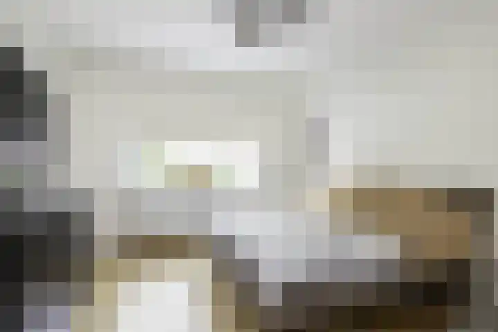 Susterderpoort 7 Nieuwstadt thumbnail 22