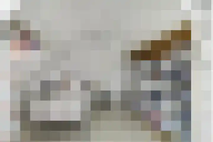 Susterderpoort 7 Nieuwstadt thumbnail 26