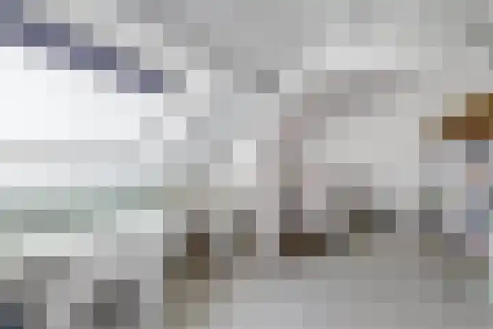 Susterderpoort 7 Nieuwstadt thumbnail 27