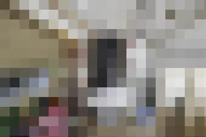 Susterderpoort 7 Nieuwstadt thumbnail 29