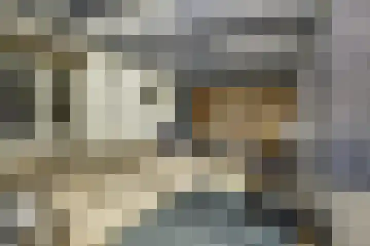 Susterderpoort 7 Nieuwstadt thumbnail 30