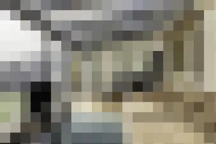 Susterderpoort 7 Nieuwstadt thumbnail 31