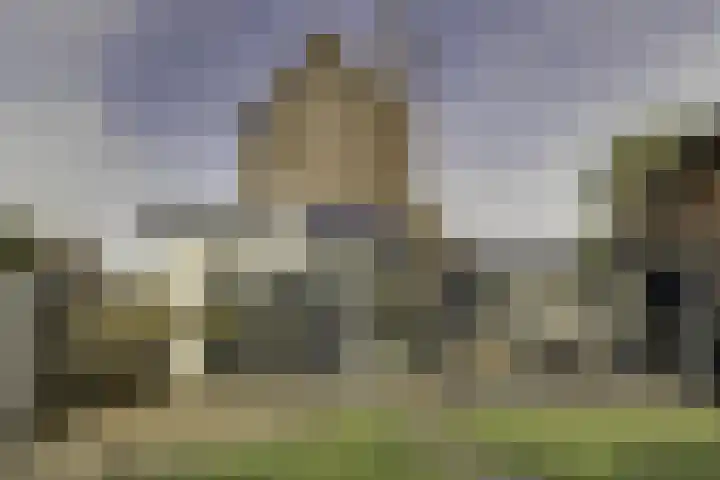 Susterderpoort 7 Nieuwstadt thumbnail 35