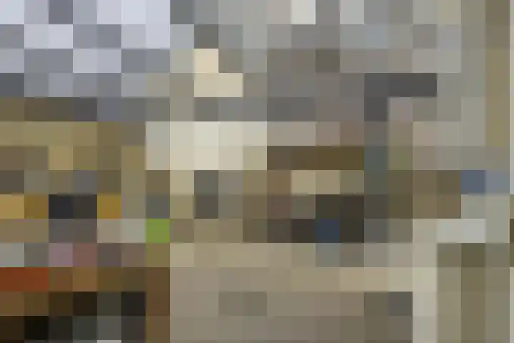 Susterderpoort 7 Nieuwstadt thumbnail 38