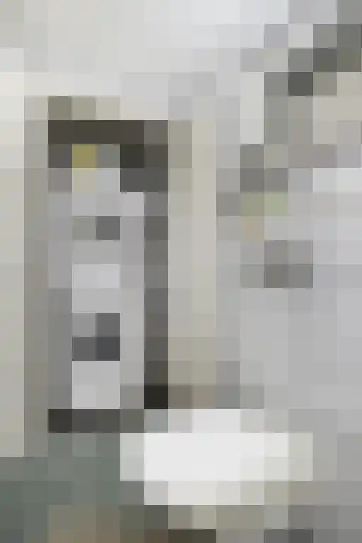 Susterderpoort 7 Nieuwstadt thumbnail 44