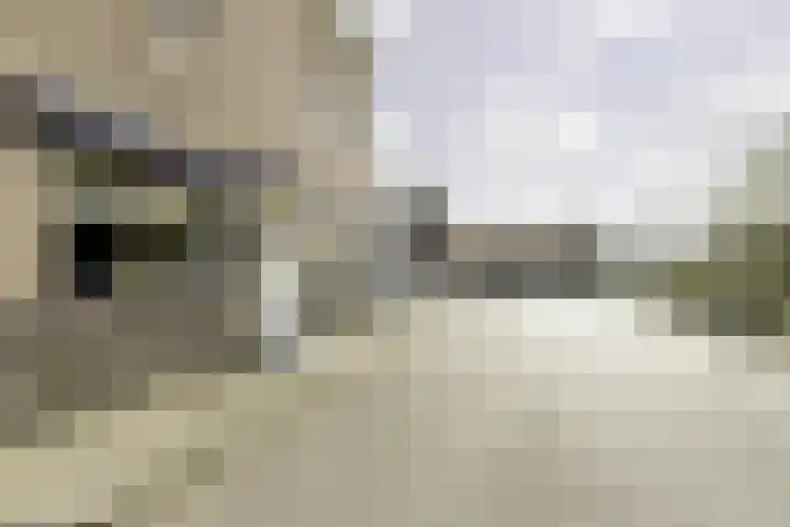 Susterderpoort 7 Nieuwstadt thumbnail 6