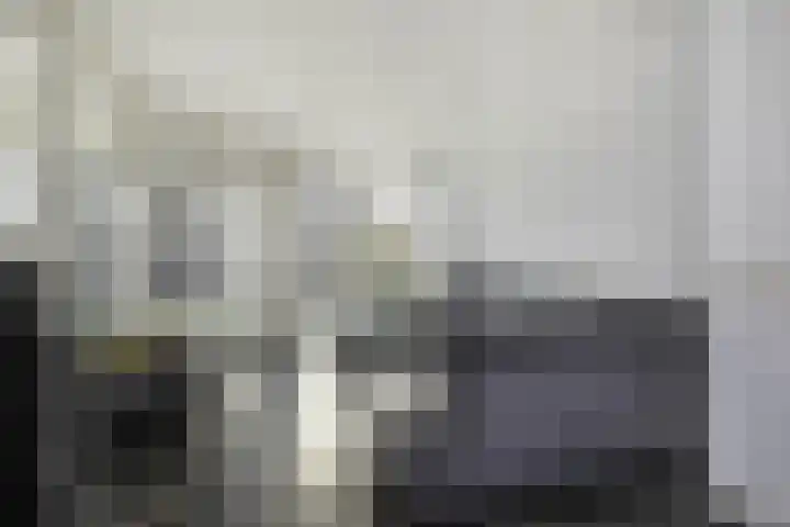 Susterderpoort 7 Nieuwstadt thumbnail 8