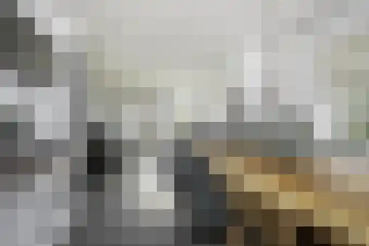 Susterderpoort 7 Nieuwstadt thumbnail 9