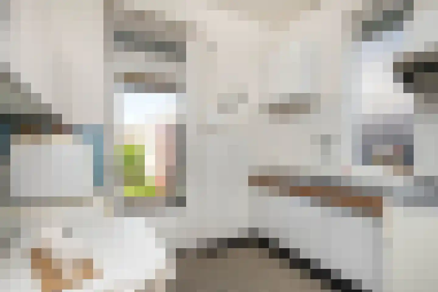 Susterderweg 17 Nieuwstadt thumbnail 13