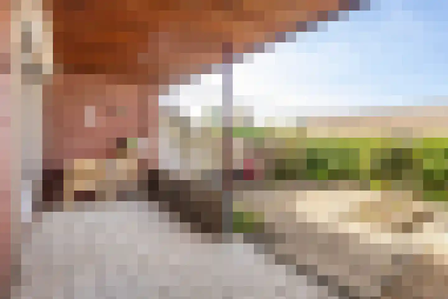 Susterderweg 17 Nieuwstadt thumbnail 29