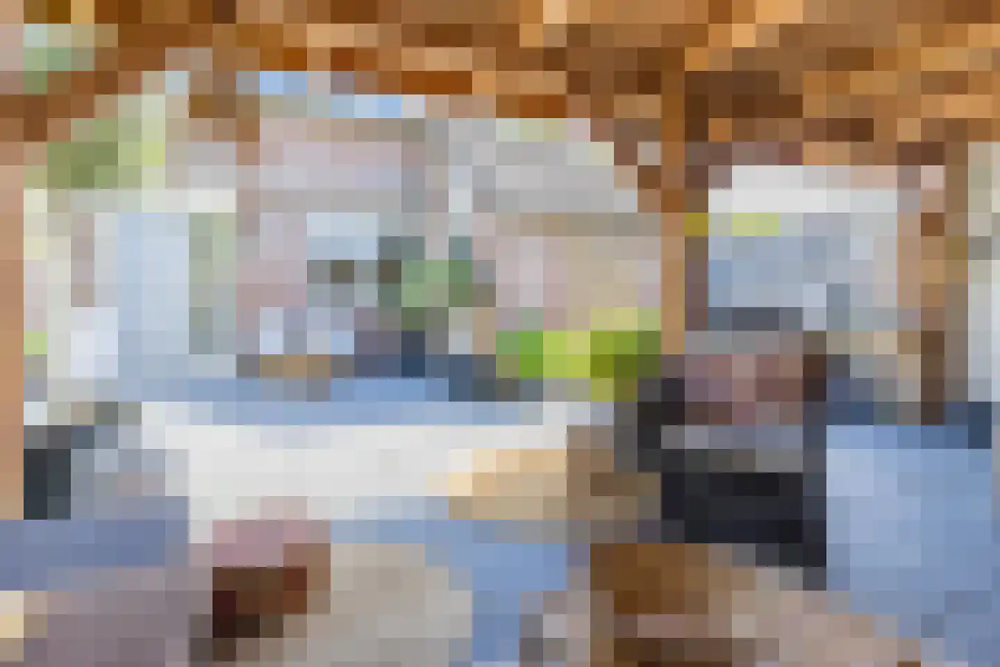 Susterenhof 1 Arnhem thumbnail 11