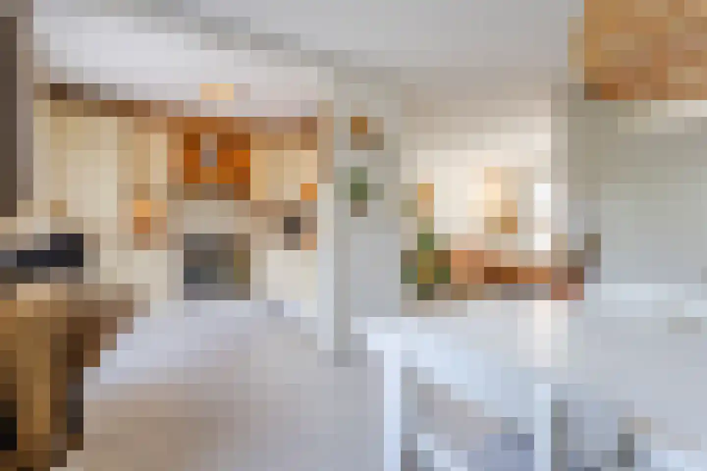Susterenhof 1 Arnhem thumbnail 19