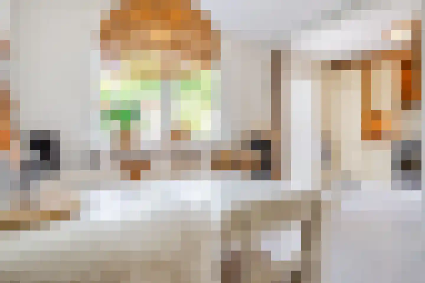 Susterenhof 1 Arnhem thumbnail 20