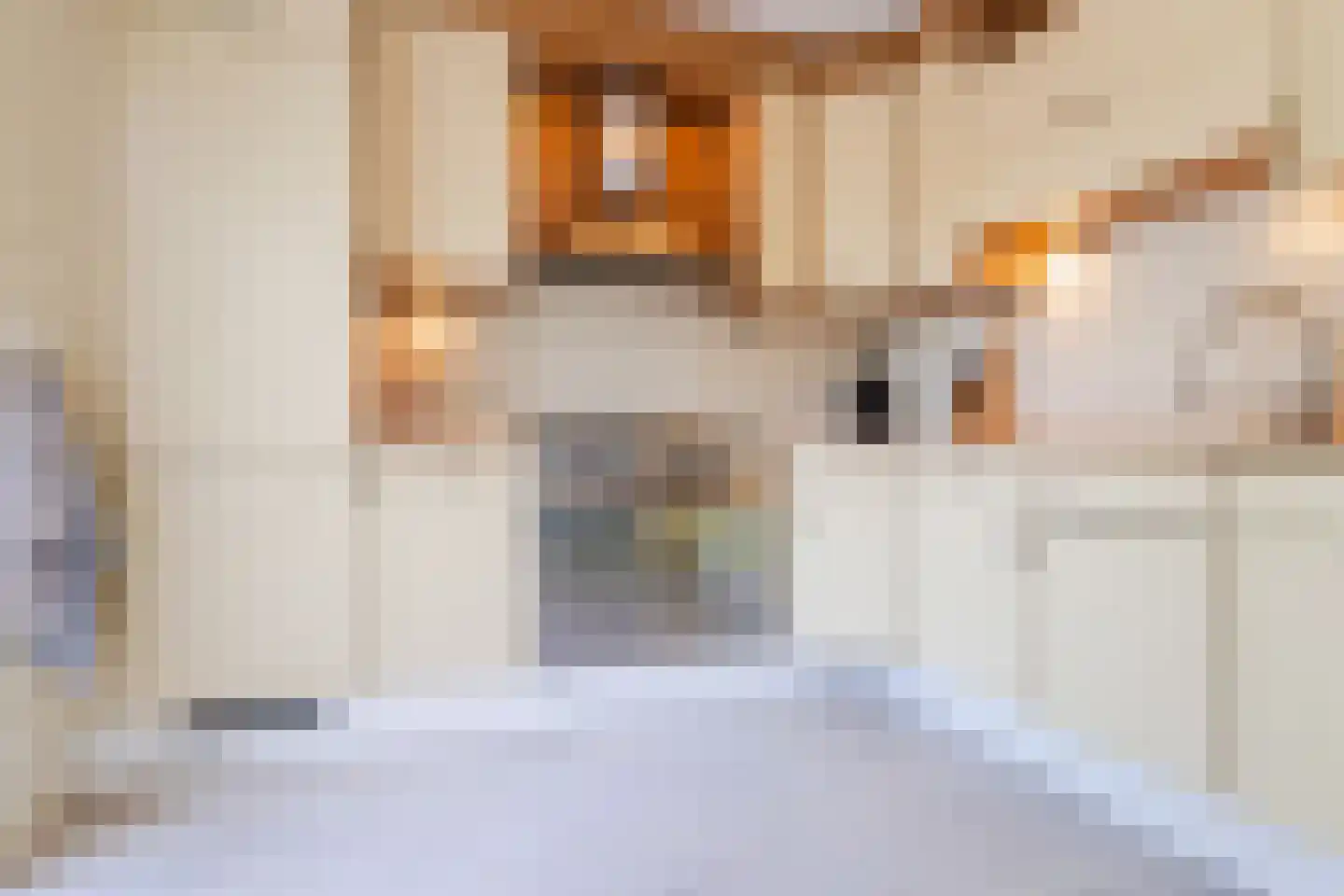 Susterenhof 1 Arnhem thumbnail 21
