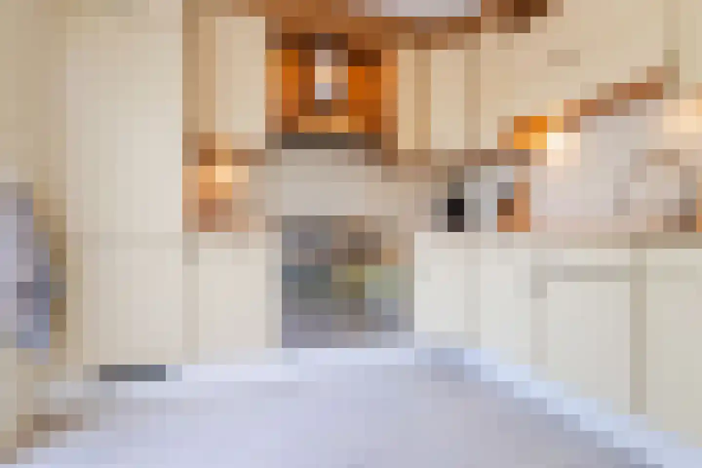Susterenhof 1 Arnhem thumbnail 21