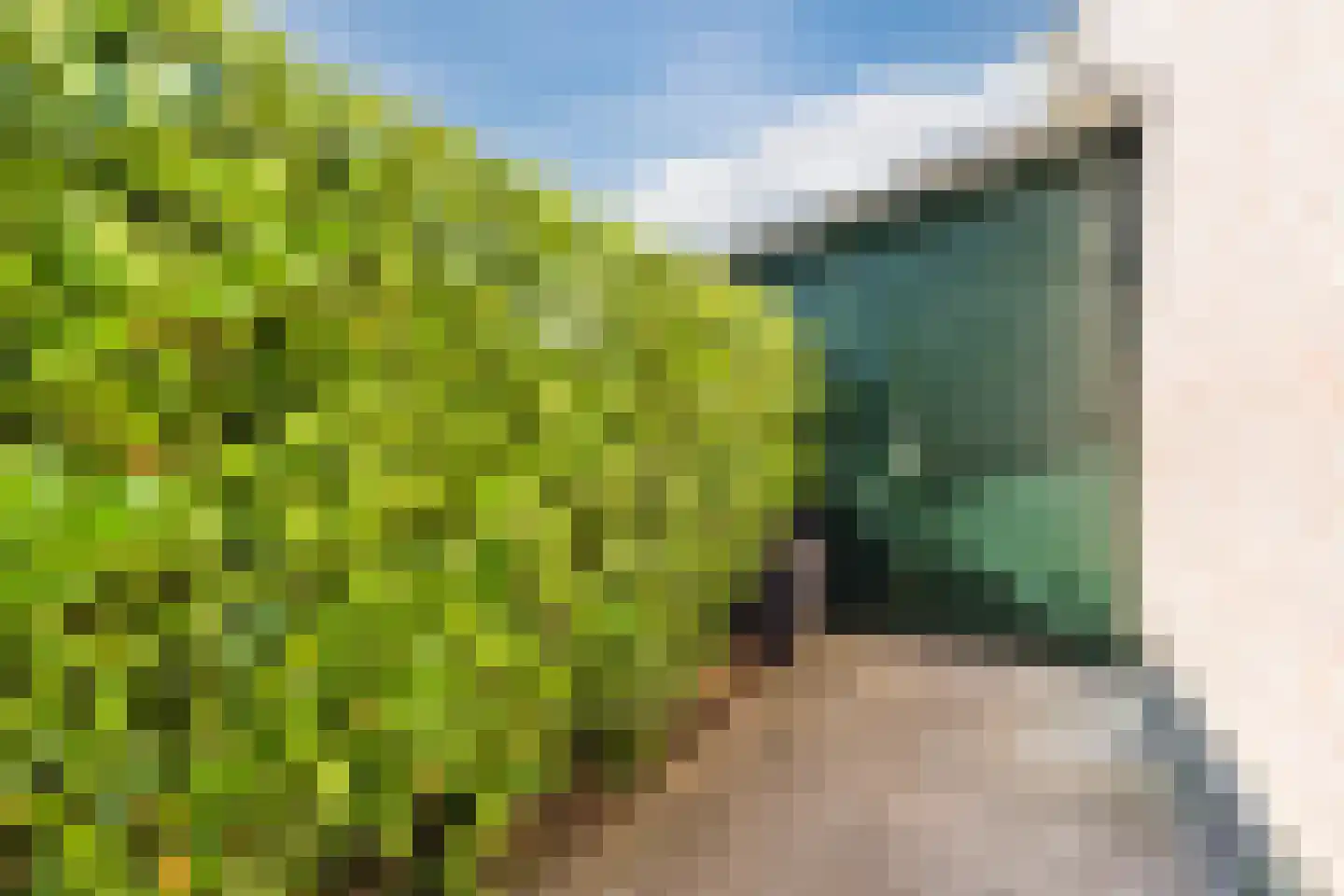 Susterenhof 1 Arnhem thumbnail 42