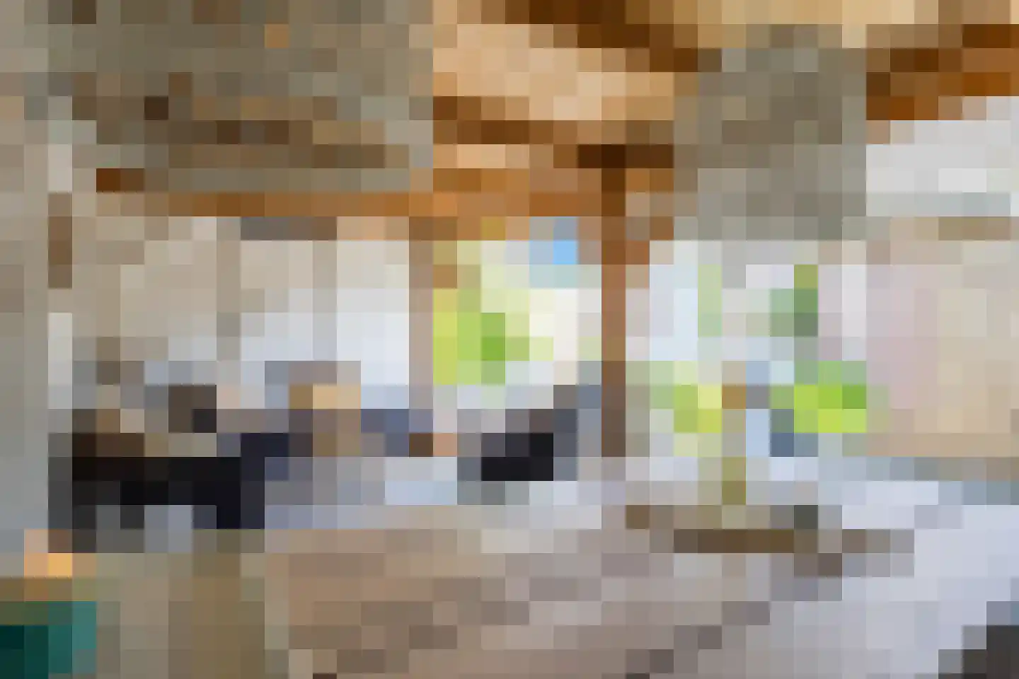 Susterenhof 1 Arnhem thumbnail 8