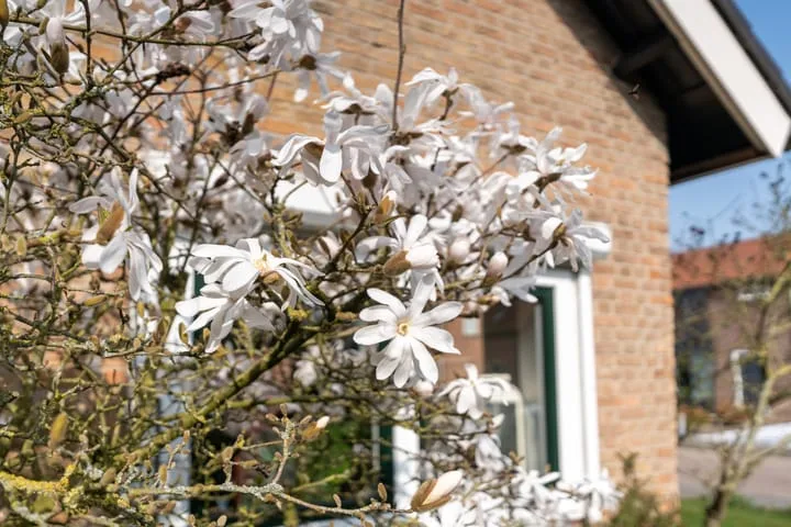 Susterenhof 19 Genderen thumbnail 27