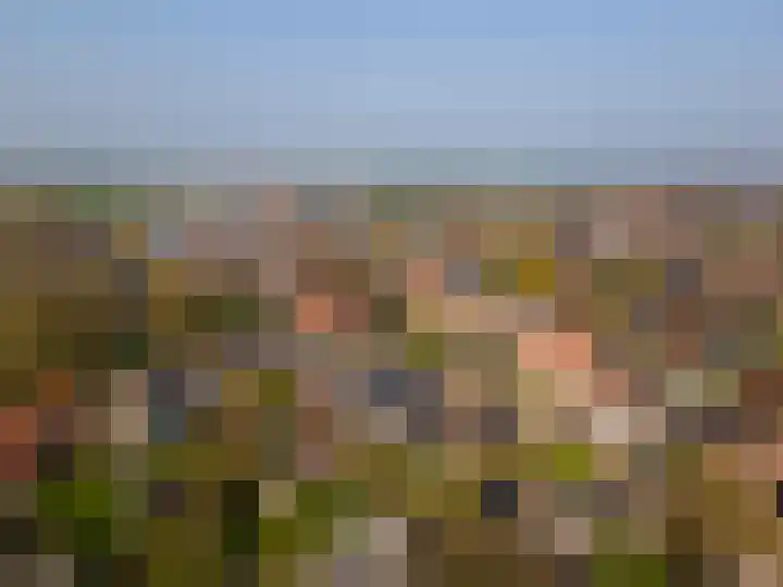 Susterenhof 19 Genderen thumbnail 30