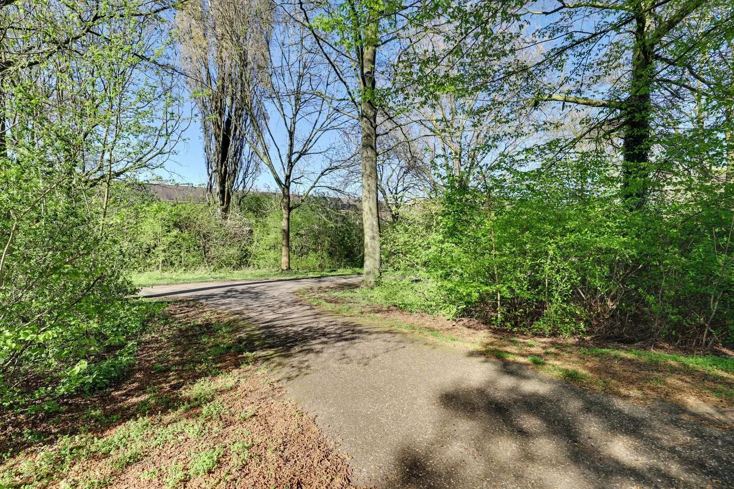 Susterenhof 55 Arnhem thumbnail 58