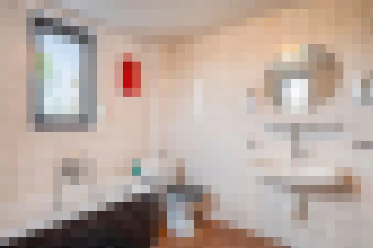 Susterselerweg 13 Jabeek thumbnail 25