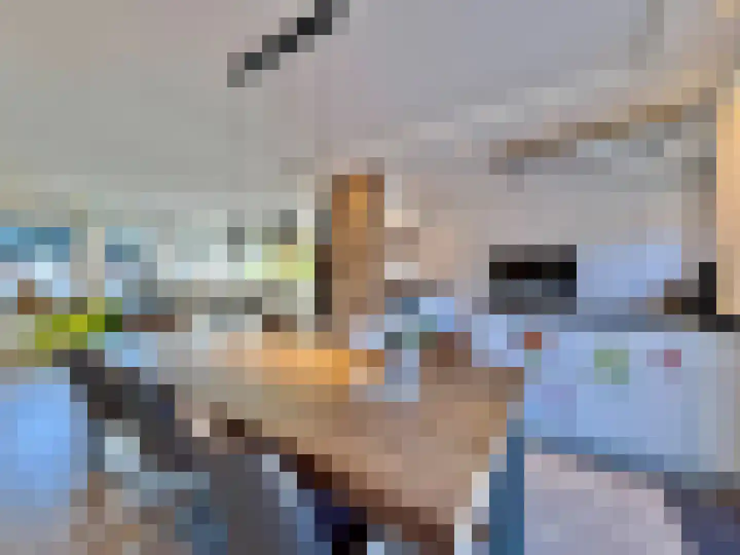 Susterselerweg 4 Jabeek thumbnail 10