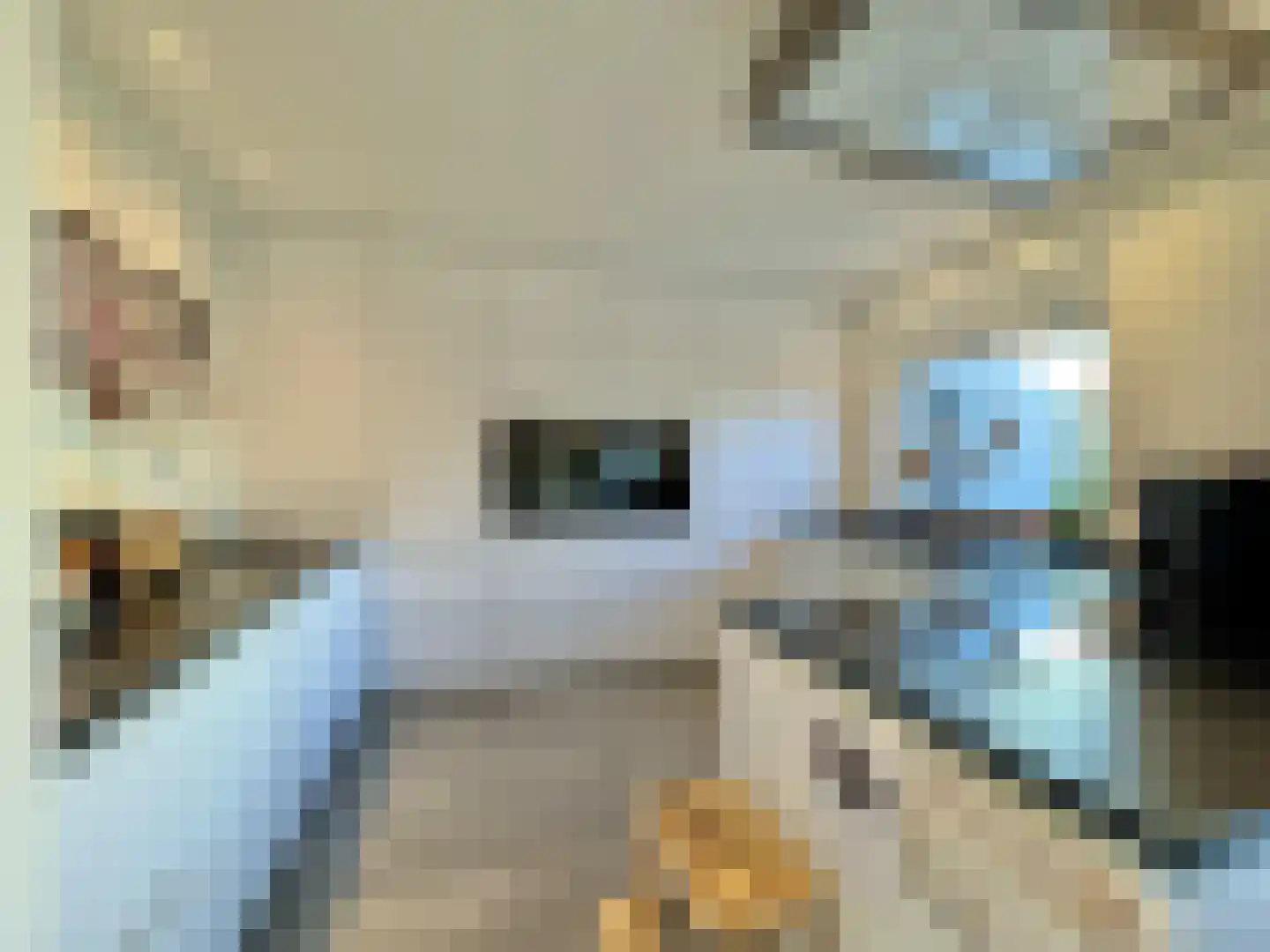 Susterselerweg 4 Jabeek thumbnail 13