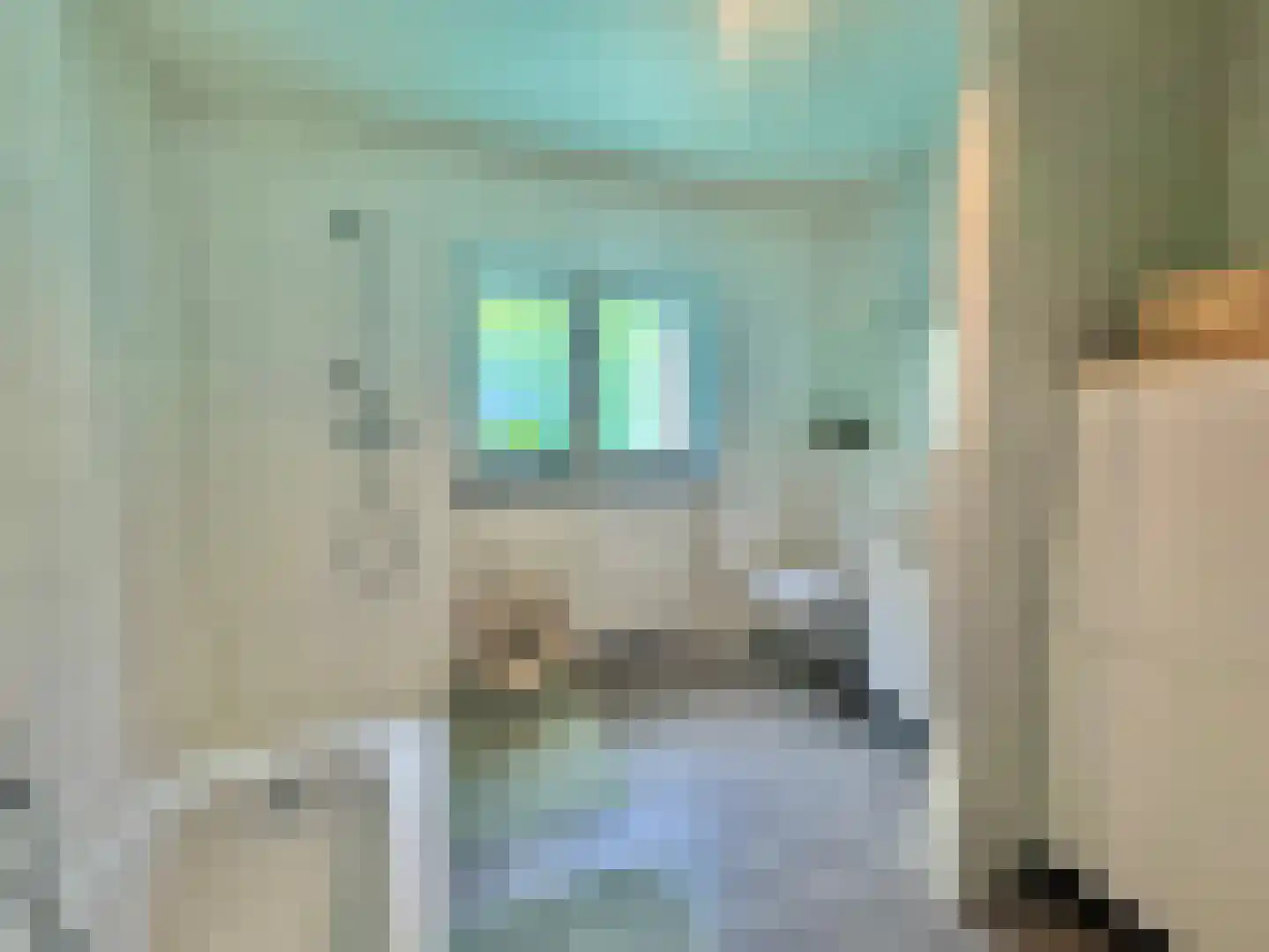 Susterselerweg 4 Jabeek thumbnail 28