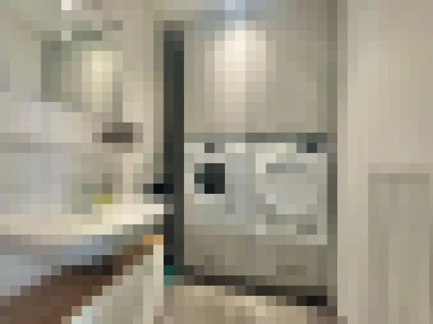 Susterselerweg 4 Jabeek thumbnail 30