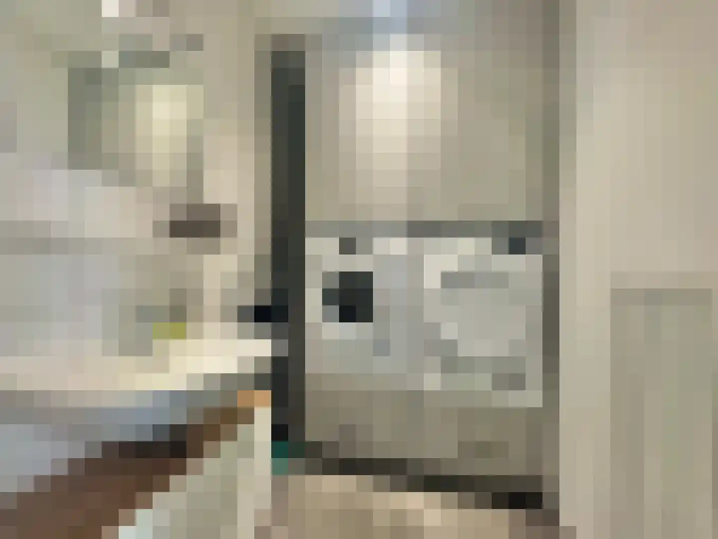 Susterselerweg 4 Jabeek thumbnail 30
