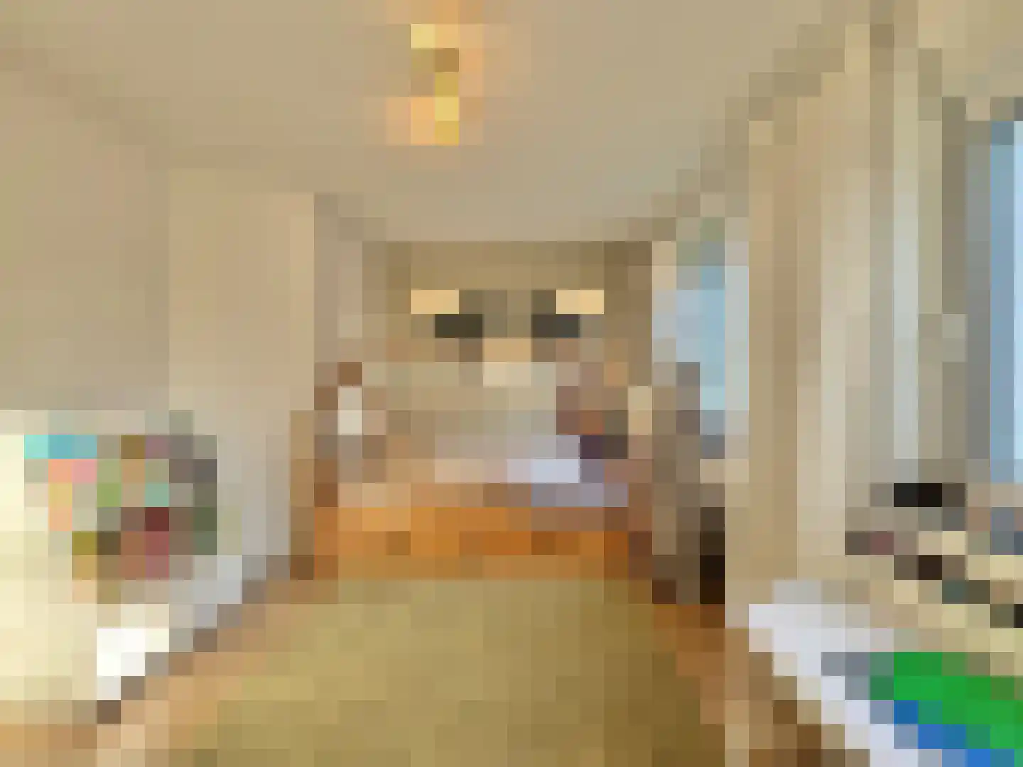 Susterselerweg 4 Jabeek thumbnail 32