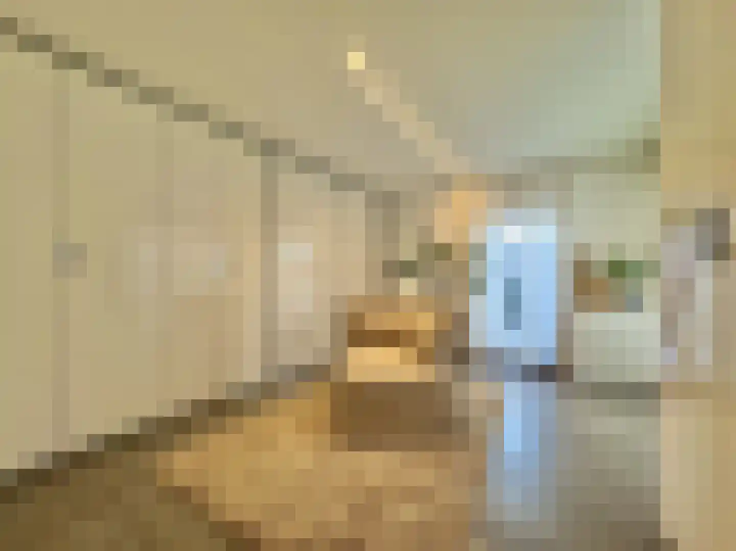 Susterselerweg 4 Jabeek thumbnail 37