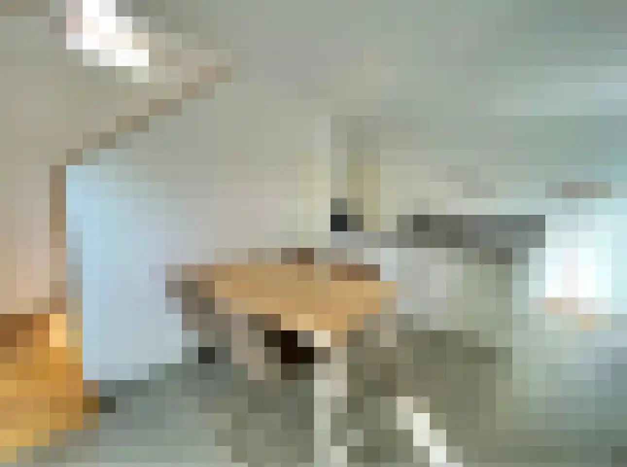 Susterselerweg 4 Jabeek thumbnail 39
