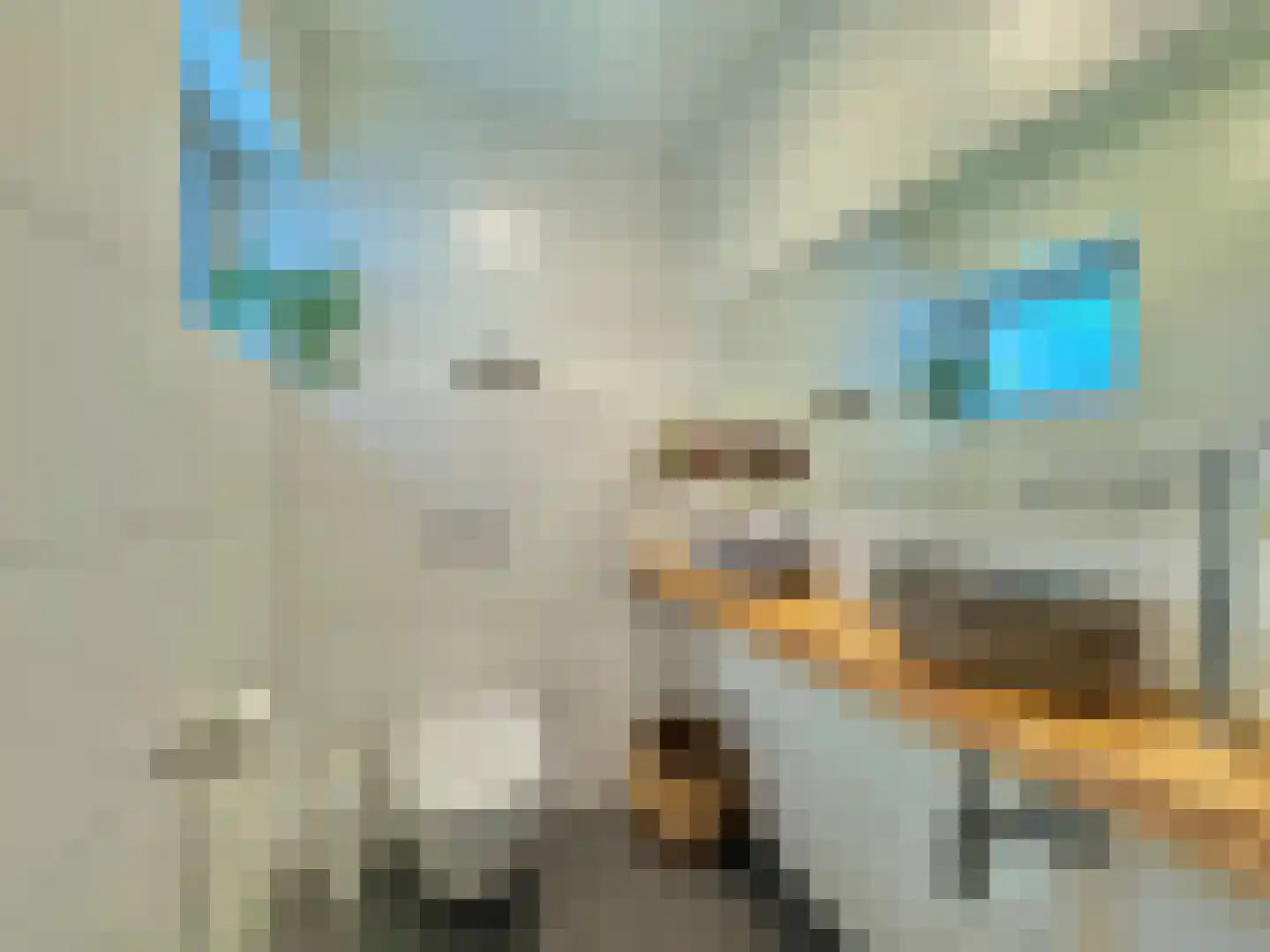 Susterselerweg 4 Jabeek thumbnail 4