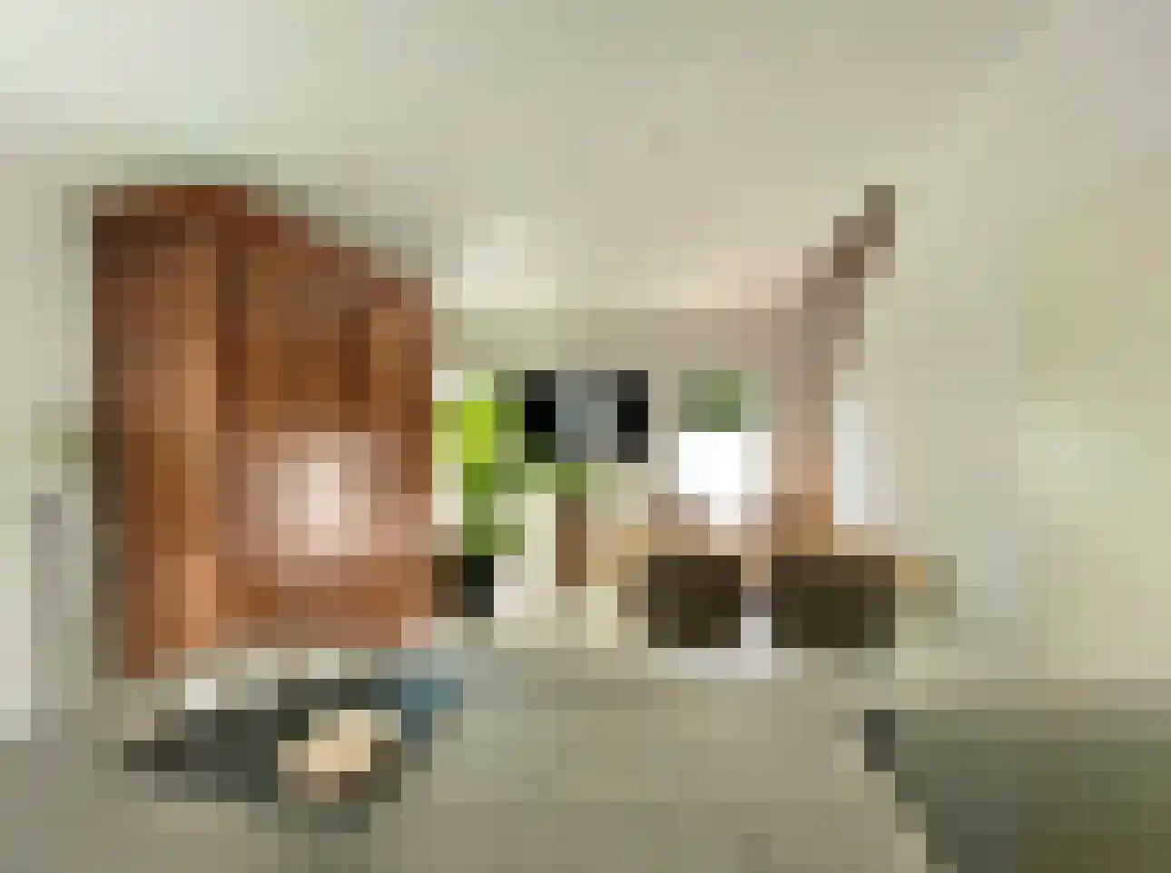 Susterselerweg 4 Jabeek thumbnail 40