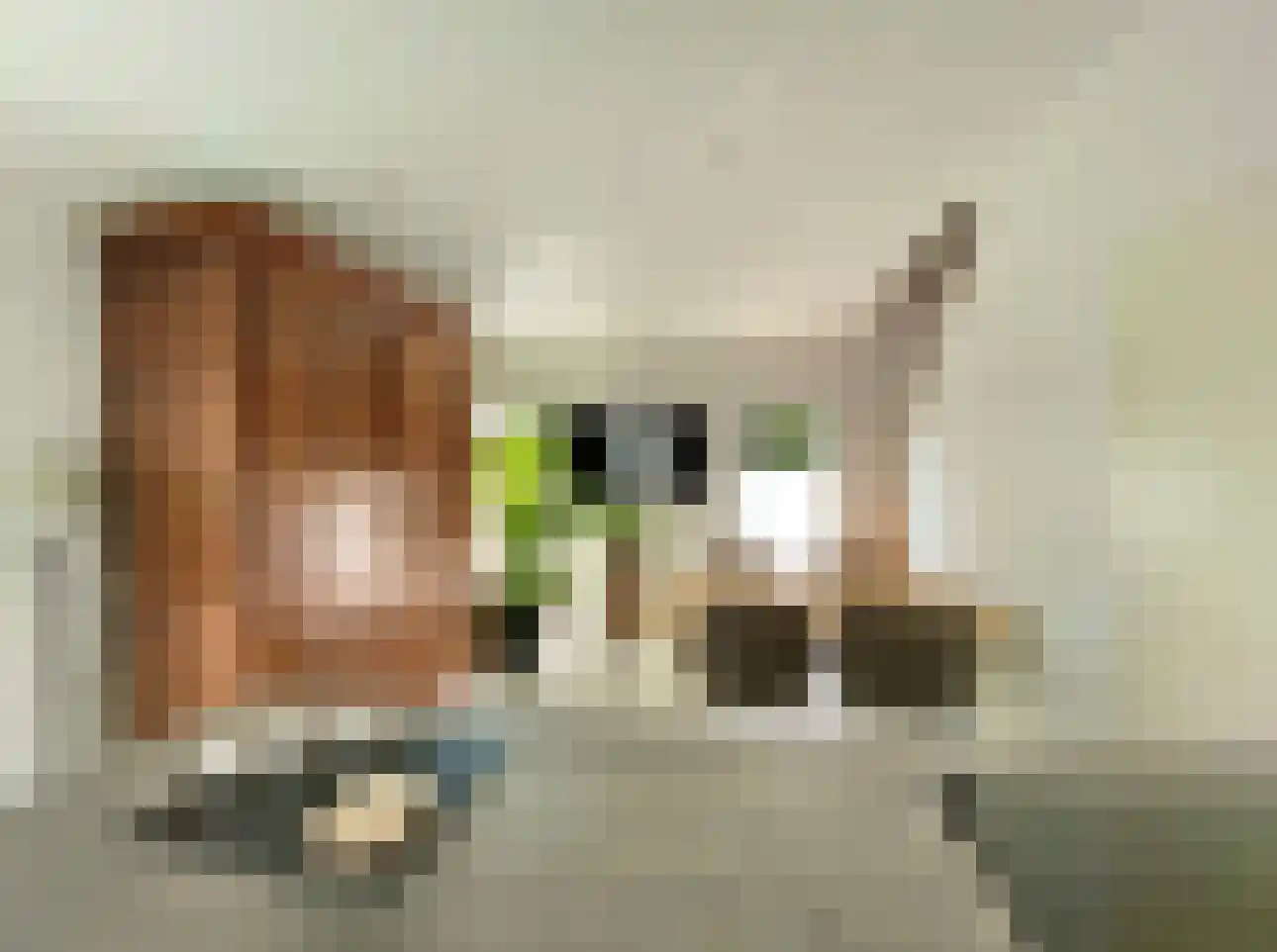 Susterselerweg 4 Jabeek thumbnail 40