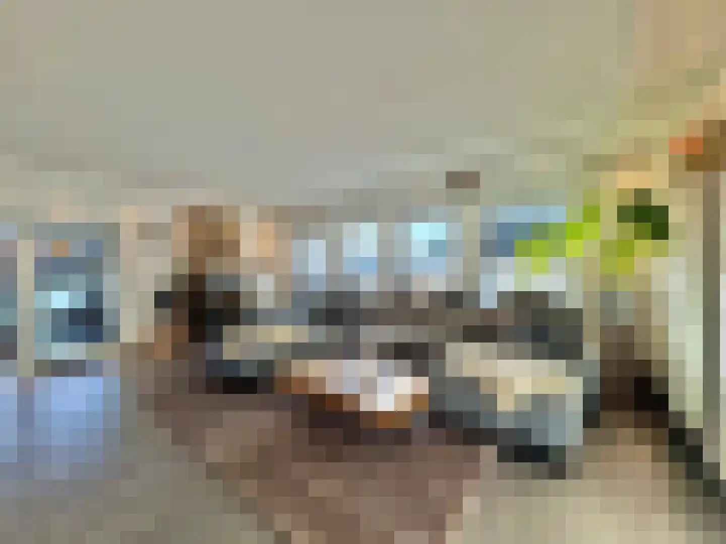 Susterselerweg 4 Jabeek thumbnail 5
