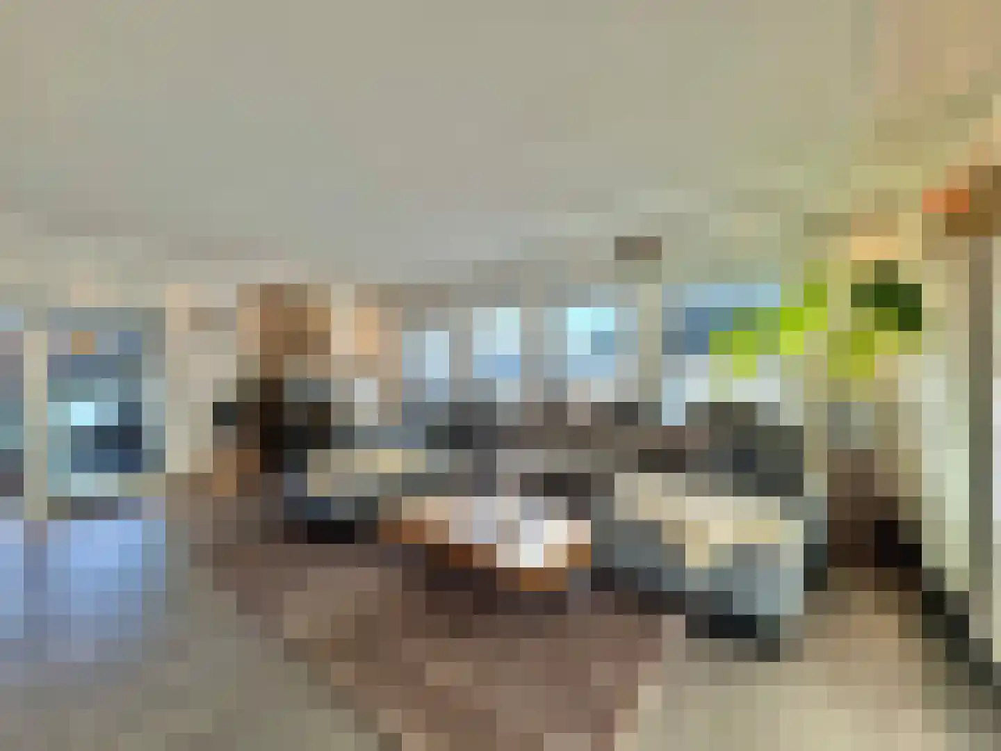 Susterselerweg 4 Jabeek thumbnail 5