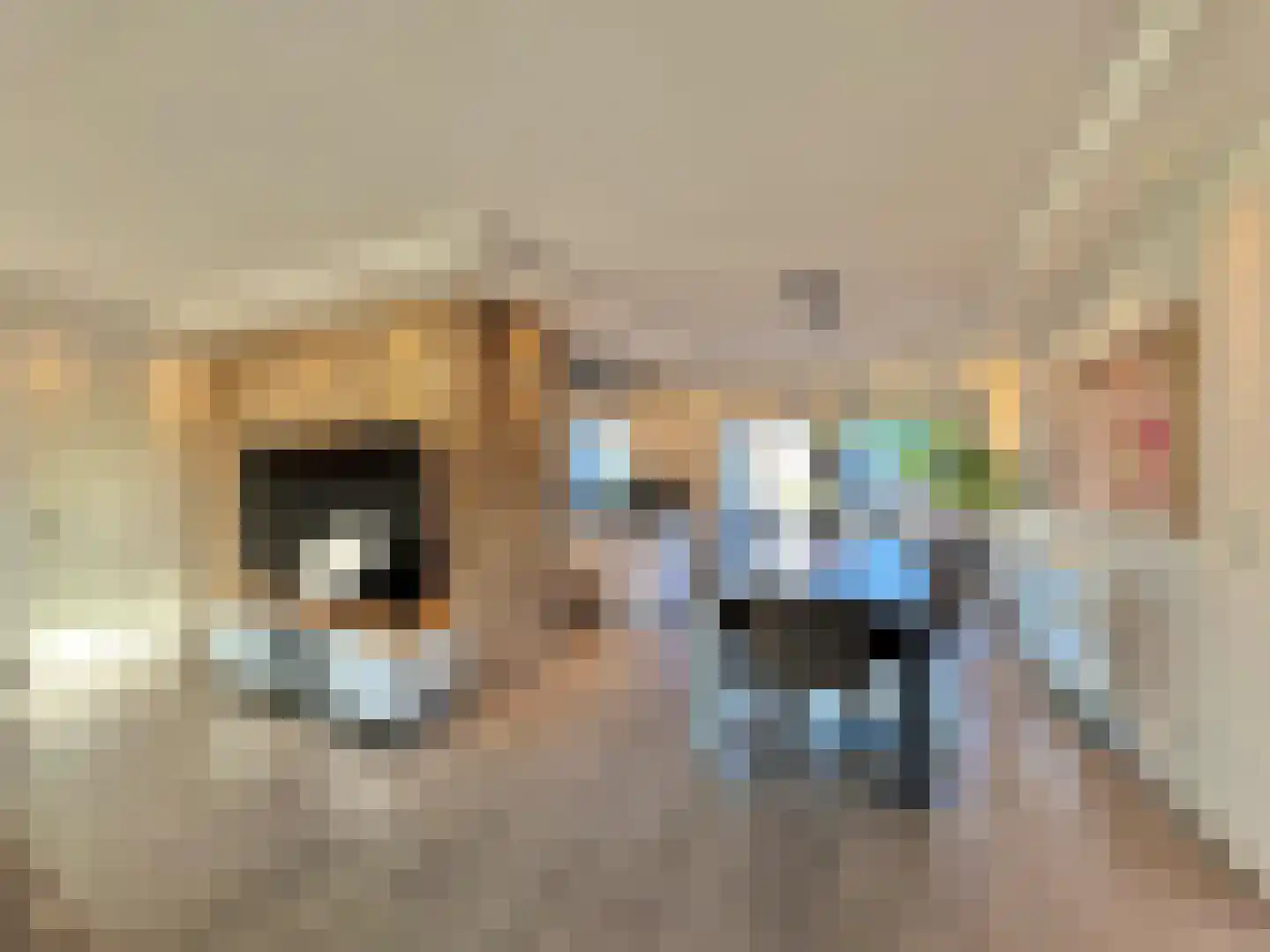 Susterselerweg 4 Jabeek thumbnail 7