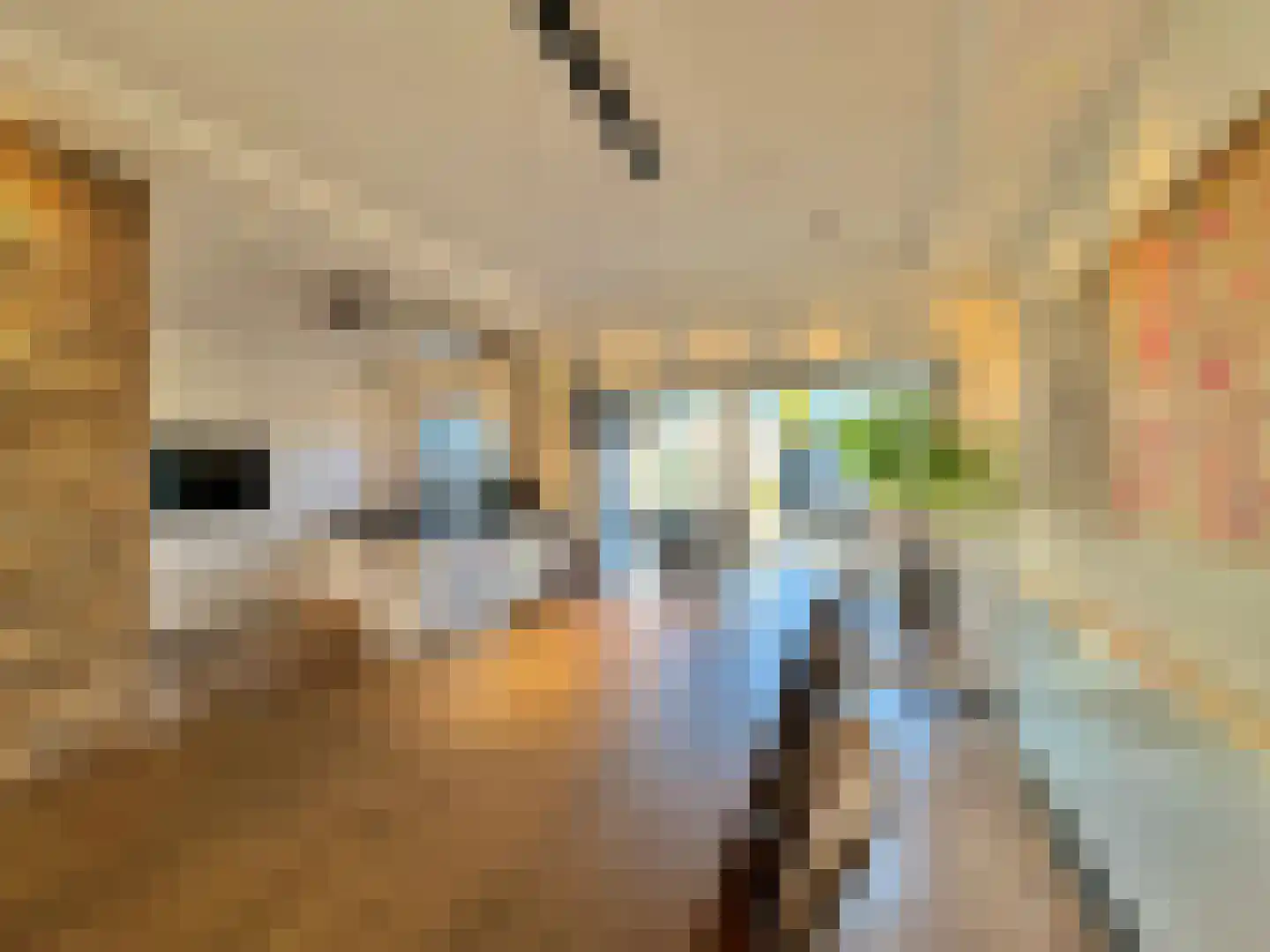 Susterselerweg 4 Jabeek thumbnail 8