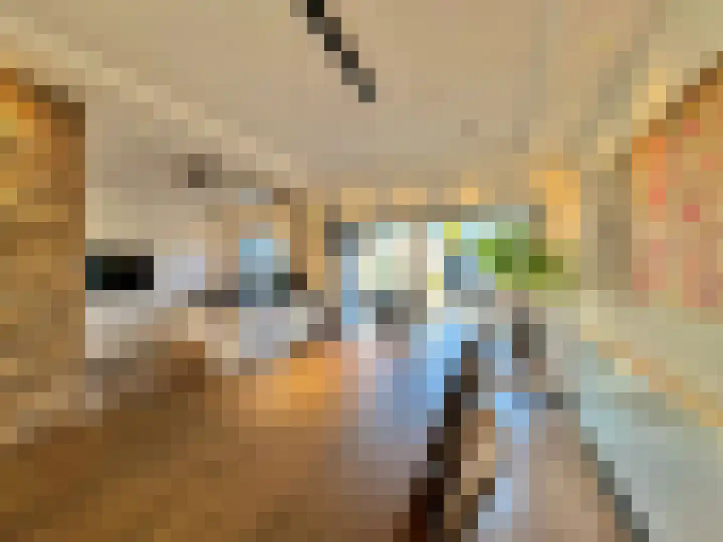 Susterselerweg 4 Jabeek thumbnail 8