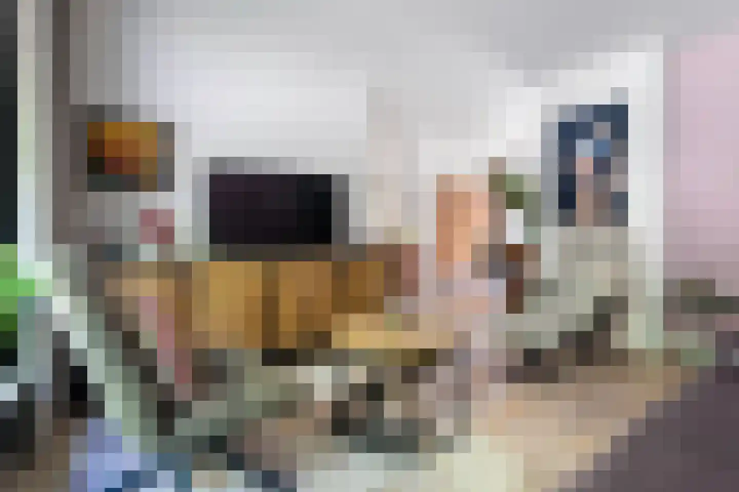 Suttnerstraat 11 Stein thumbnail 4