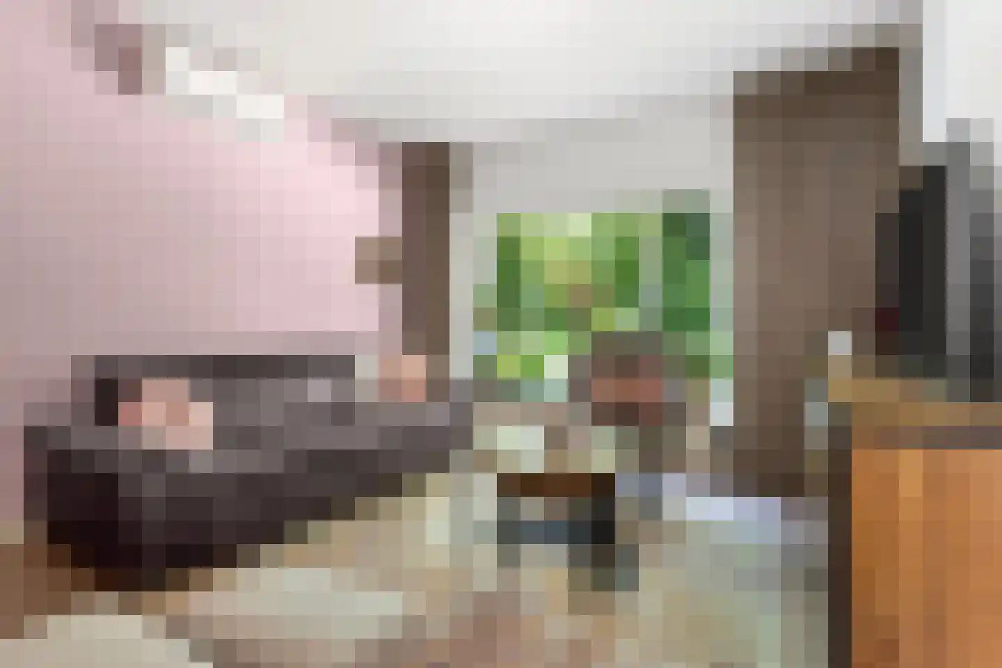 Suttnerstraat 11 Stein thumbnail 6