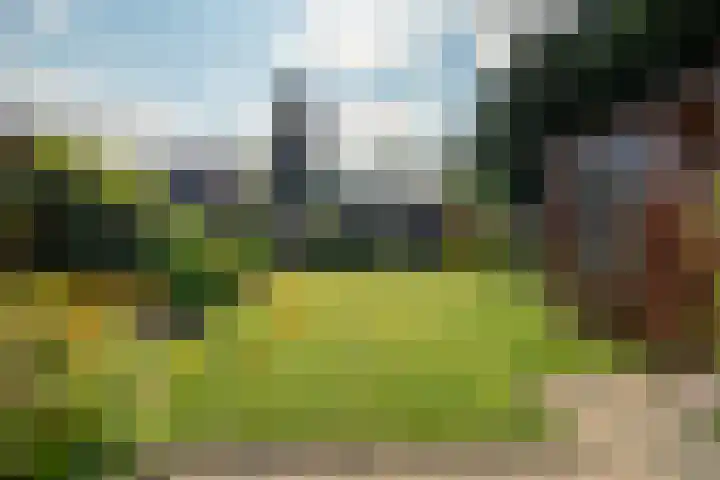 Suttnerstraat 27 Stein thumbnail 20